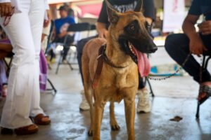 Imagen de WhatsApp 2025-06-17 a las 12.47.17_719c174a