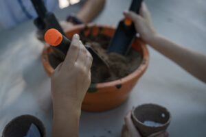 Imagen de WhatsApp 2025-06-17 a las 13.51.18_0b57df99